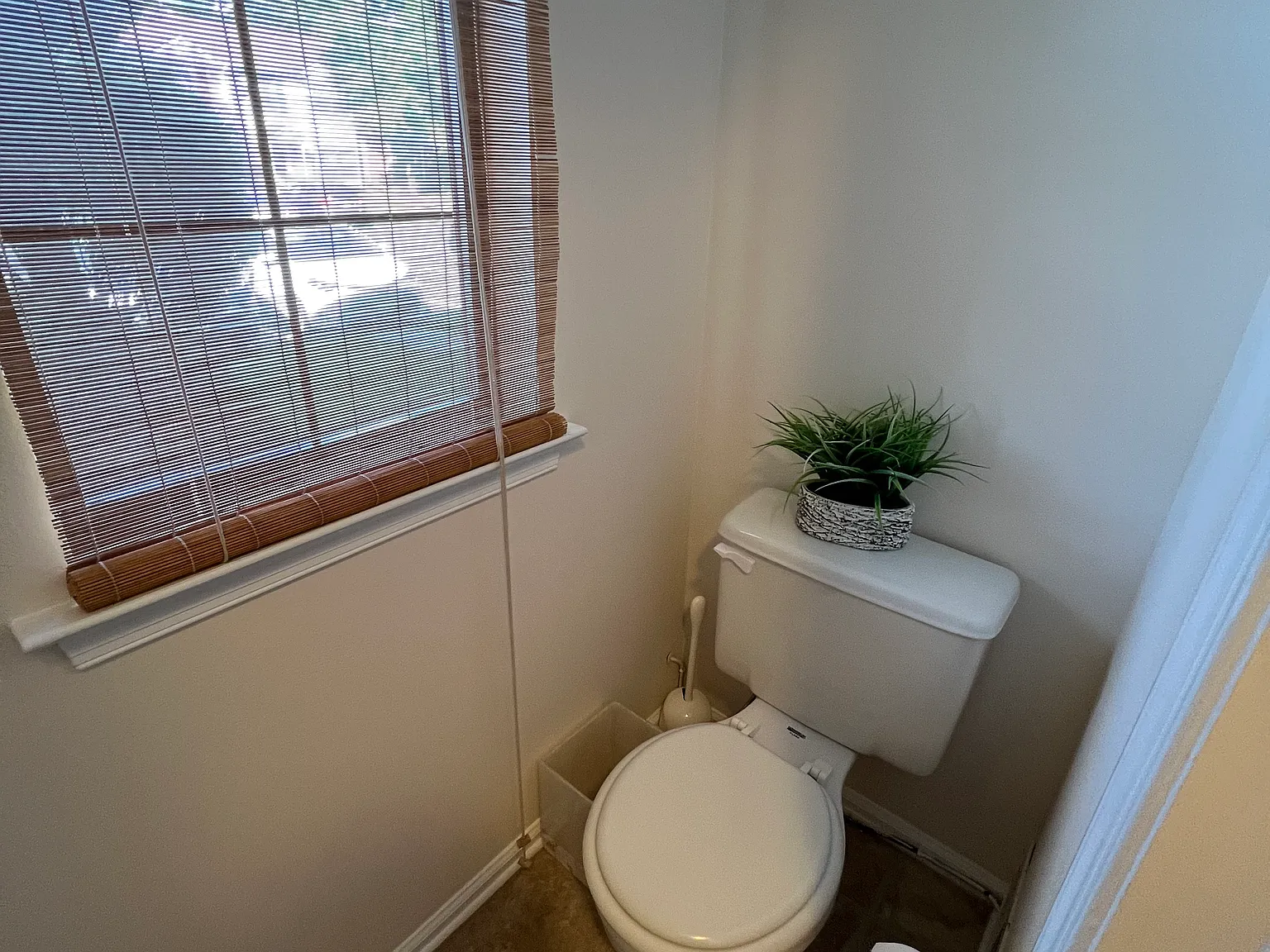 3 bed, 2.5 bath, 1350 sqft, $3,000 — Photo 3