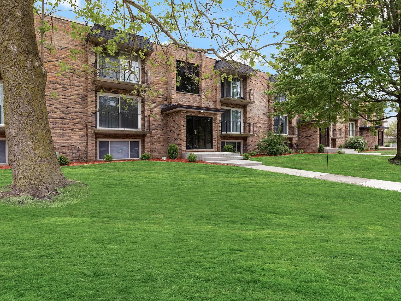 Matteson Blu — Photo 2