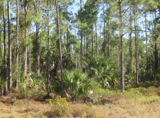 1411 24th Ave NE LOT 1, Naples, FL 34120