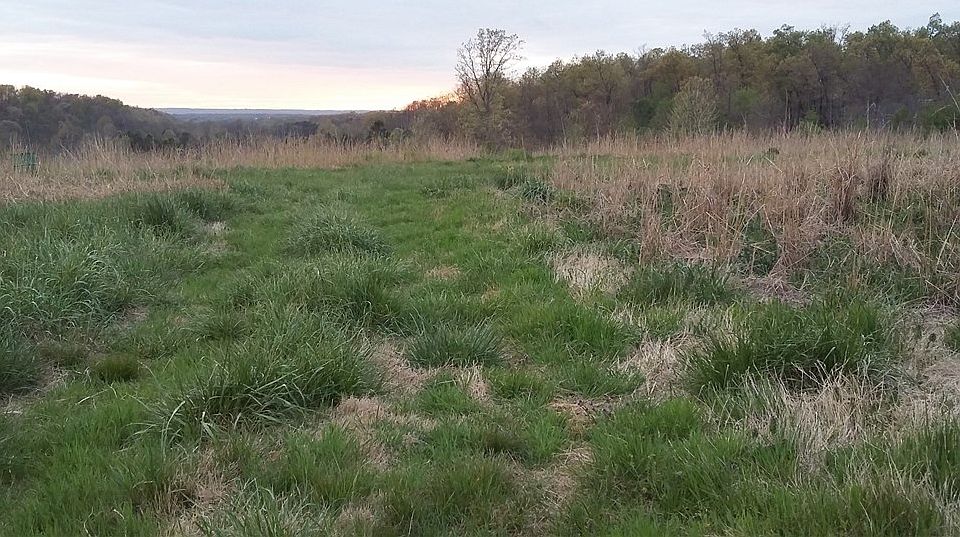 2nd image of 555 Drain Rd
