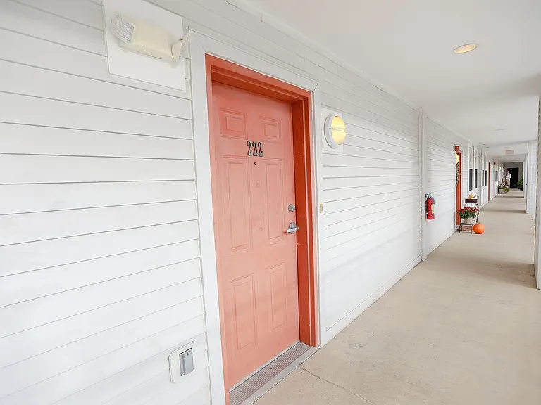 388 Boush St #222 — Photo 6