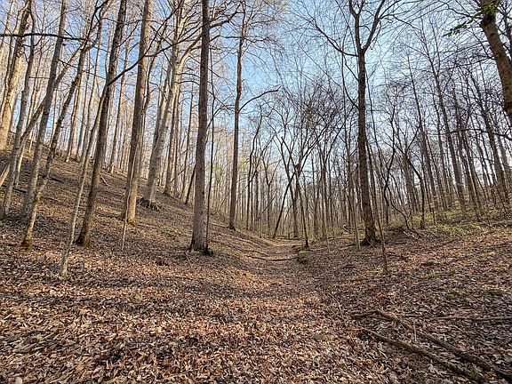 24th image of this home