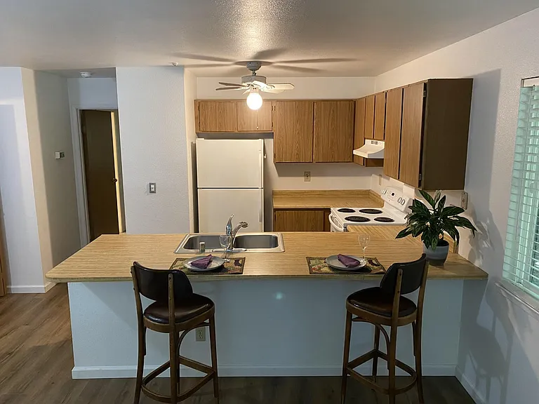 Spacious kitchen, ample counter space, opens to living room.