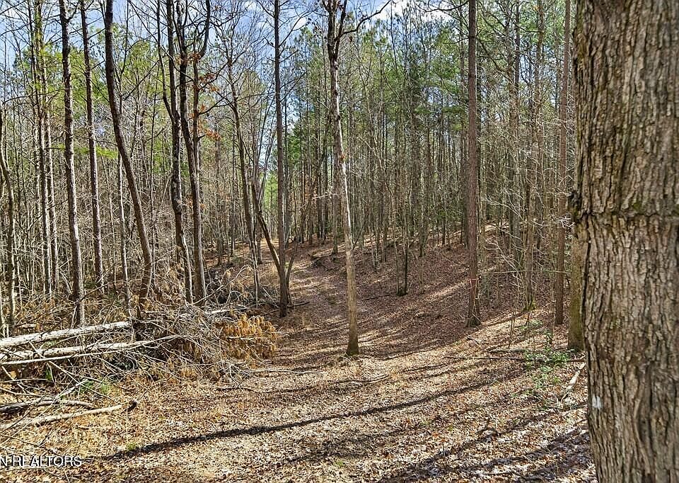 22nd image of this home