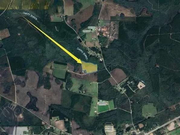 2 Buck Corbitt Rd, Manor, GA 31550