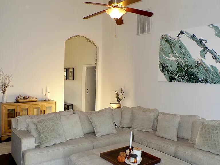 LIVING AREA/GREAT ROOM