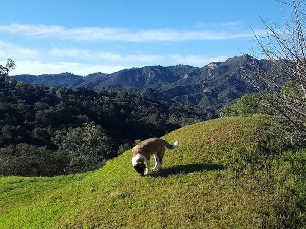 22755 Chamera Ln, Topanga, CA 90290