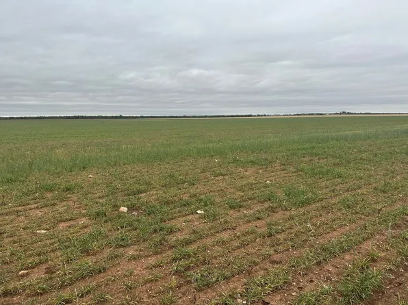 Fm 126 #1, Merkel, TX 79536