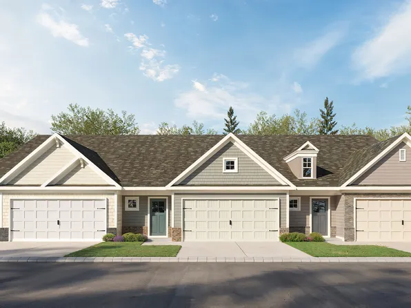 Conifer Plan, Silver Leaf