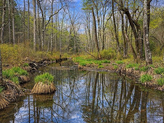 Creek