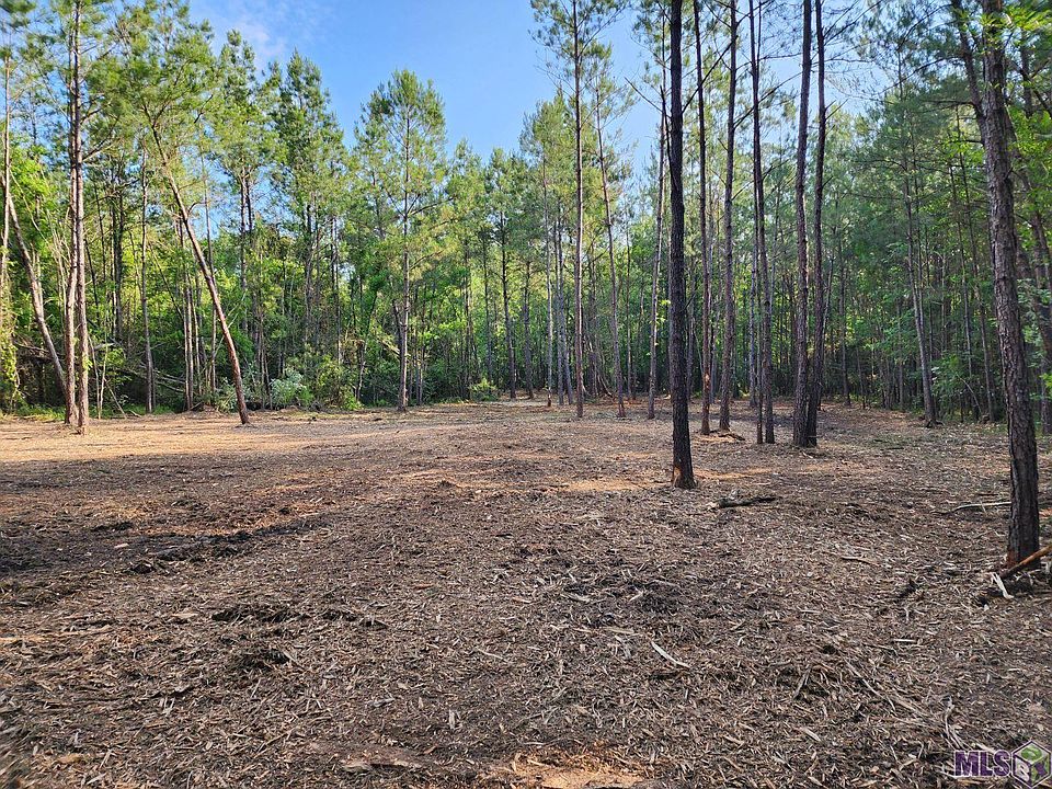 2nd image of TRACT R Two C La Hwy Lot 43