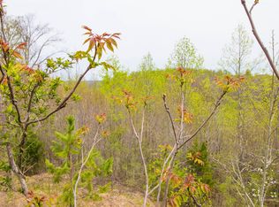 19 W Ole Pointe Rd, Smithville, TN 37166