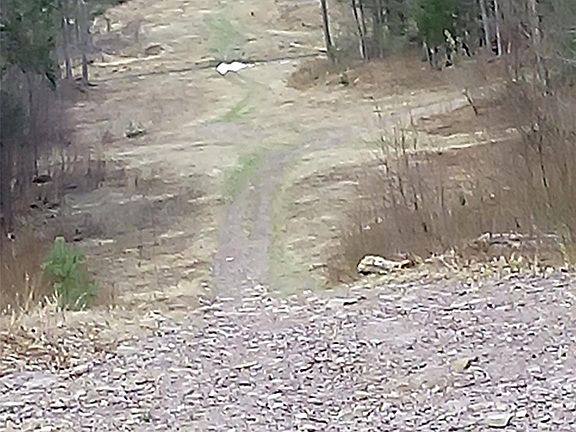 3rd image of gibber Road