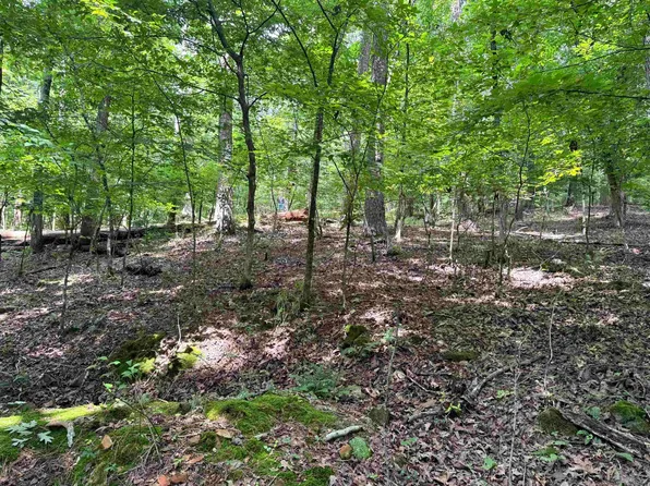 100 Arjona Way, Hot Springs Village, AR 71909