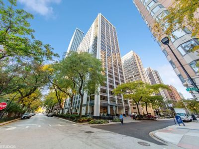 222 E Pearson St APT 1104, Chicago, IL, 60611