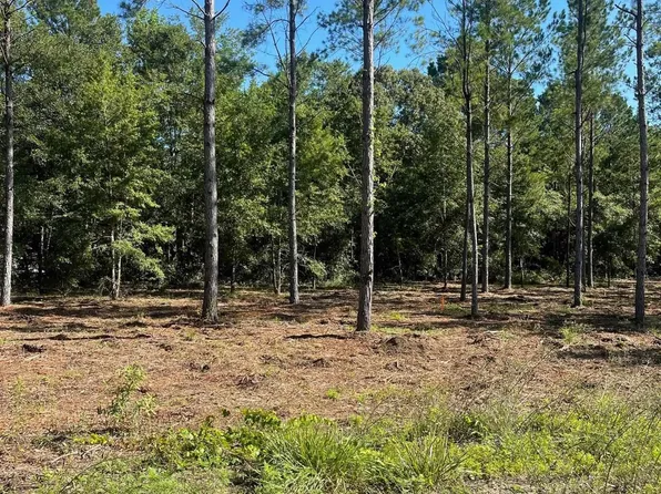 TBD Coventry Rd. Lot 1, Nichols, SC 29581