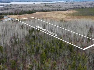 PARCEL 14 Highway 115, Tower, MN 55790