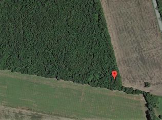 1336 Near Penderlea Hwy, Willard, NC 28478