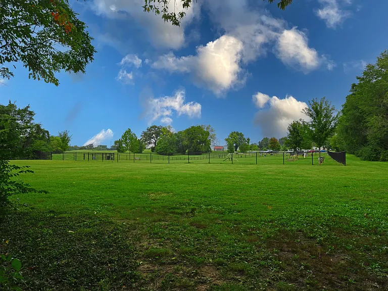 Leash Free Bark Park