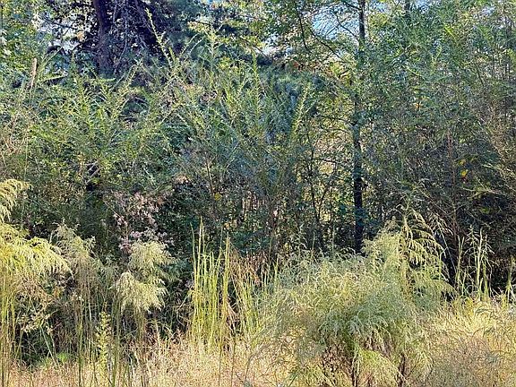 4th image of 1028 Goddard Rd