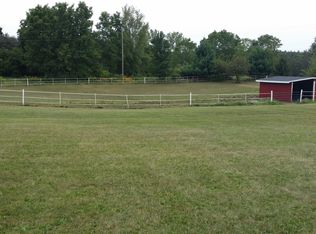 19050 Grass Lake Rd, Manchester, MI 48158