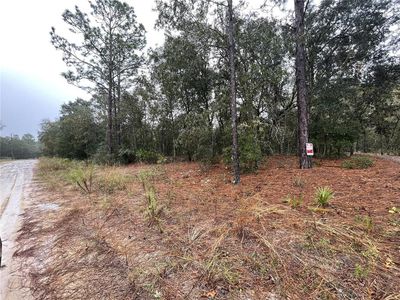 LOT 259 NE 85th St LOT 259, Bronson, FL, 32621