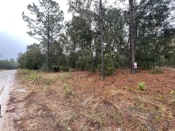 LOT 259 NE 85th St Lot 259, Bronson, FL 32621
