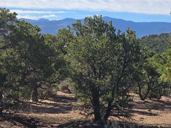 Lot 3873 Shinn Road LOT 3873, Fort Garland, CO 81133