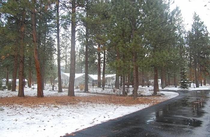 Secluded driveway