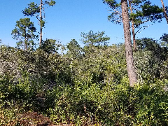 2nd image of 108 Gardenia Trl