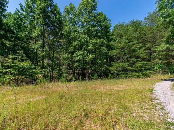 1.43 Majestic Way #17, Morganton, GA 30560