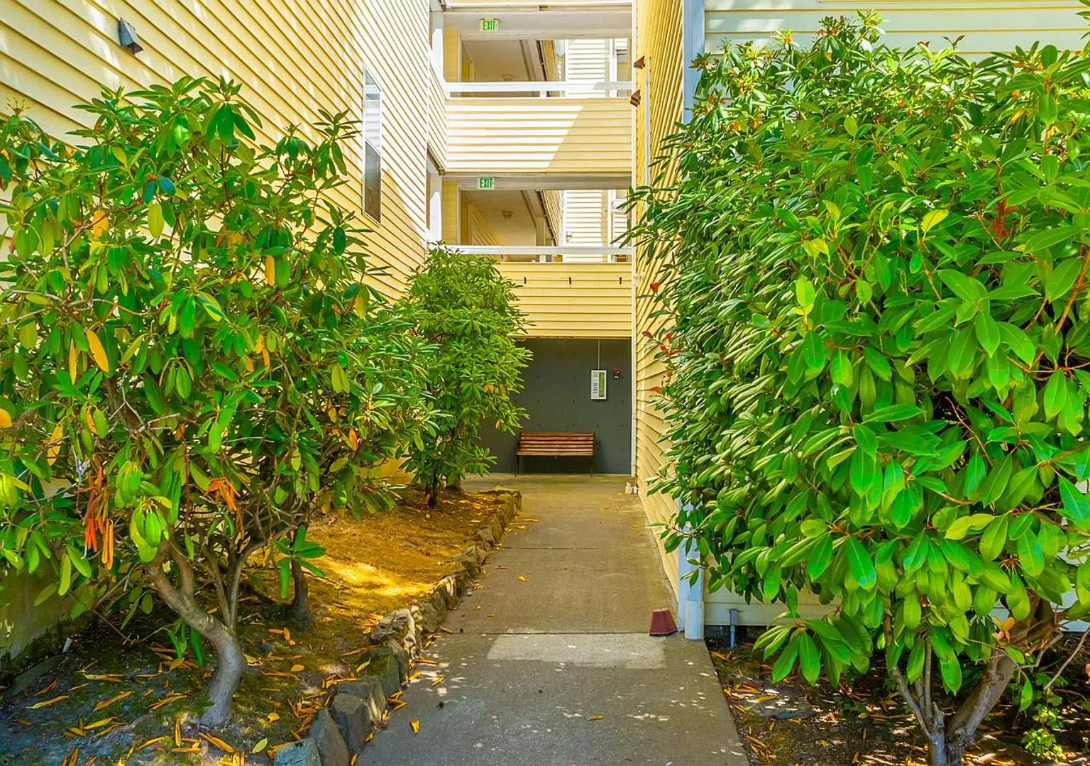 California Flats — Photo 3