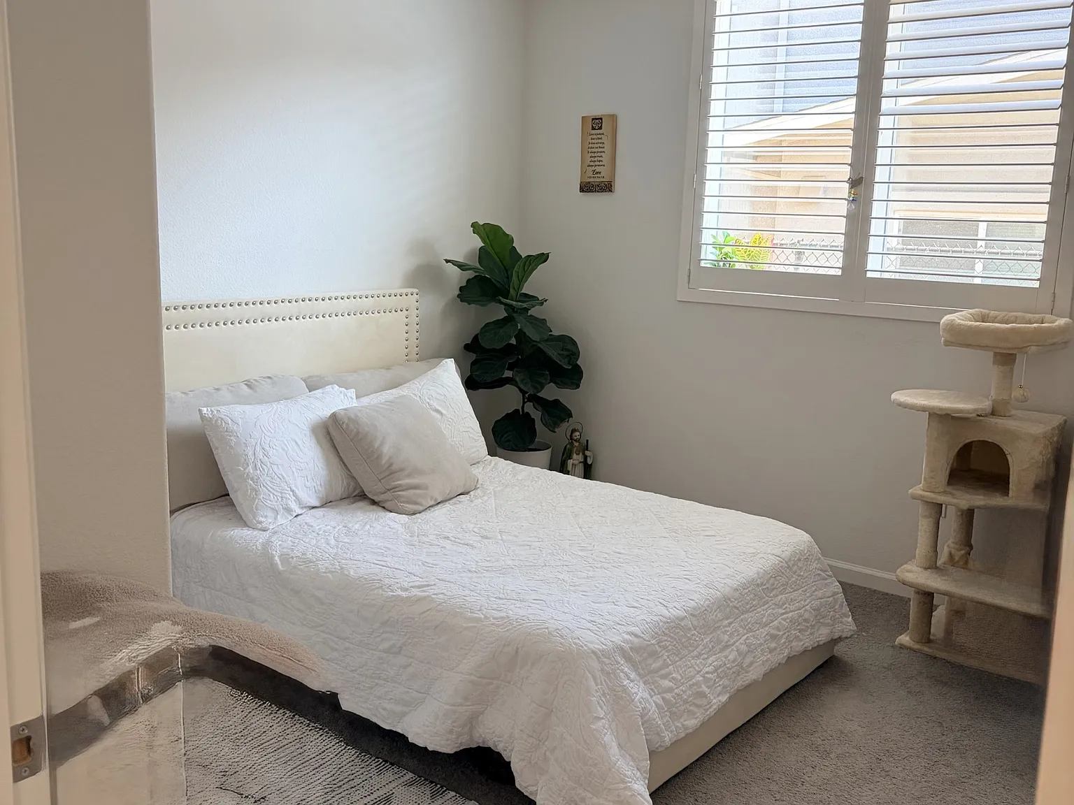 Mora Cir, Soledad — Photo 3