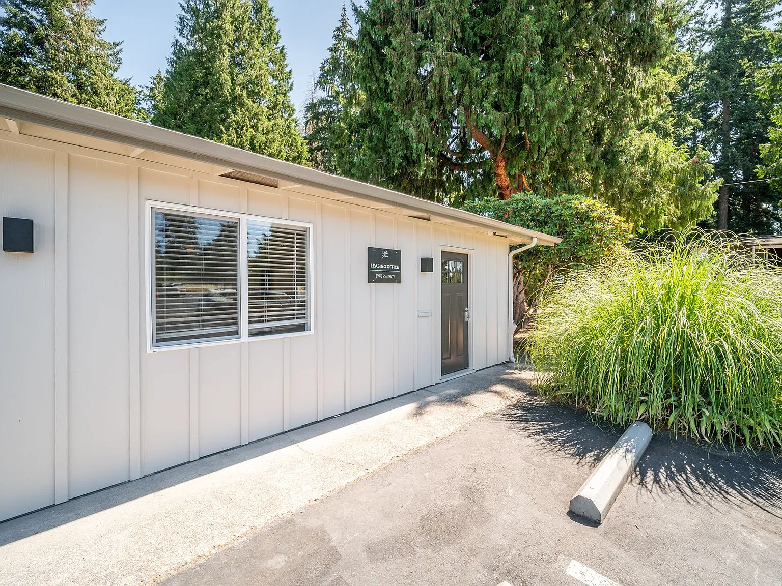 Cedar Lane — Photo 4