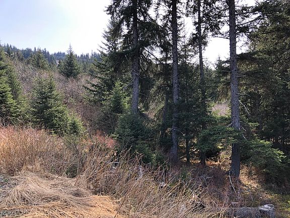 2nd image of 2815 Jakolof Bay Rd