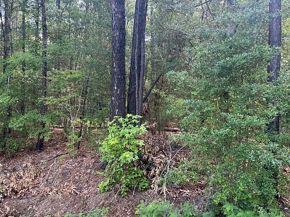 3rd image of 13555 Texas Hwy