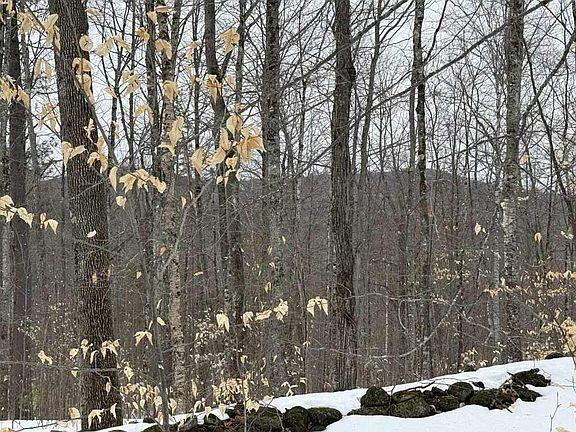 5th image of Lot 005 Greenwood Brook Road