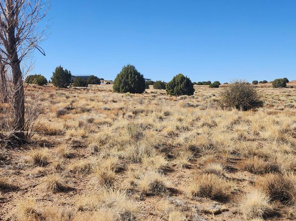 1251 S Harvest Cir, Taylor, AZ 85939