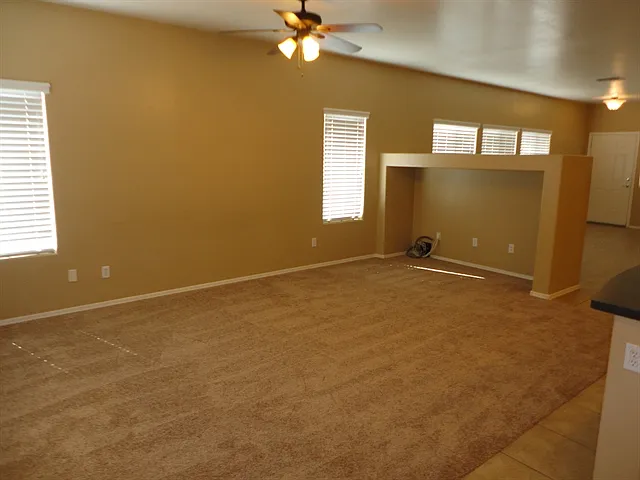 45115 W Desert Cedars Ln — Photo 4