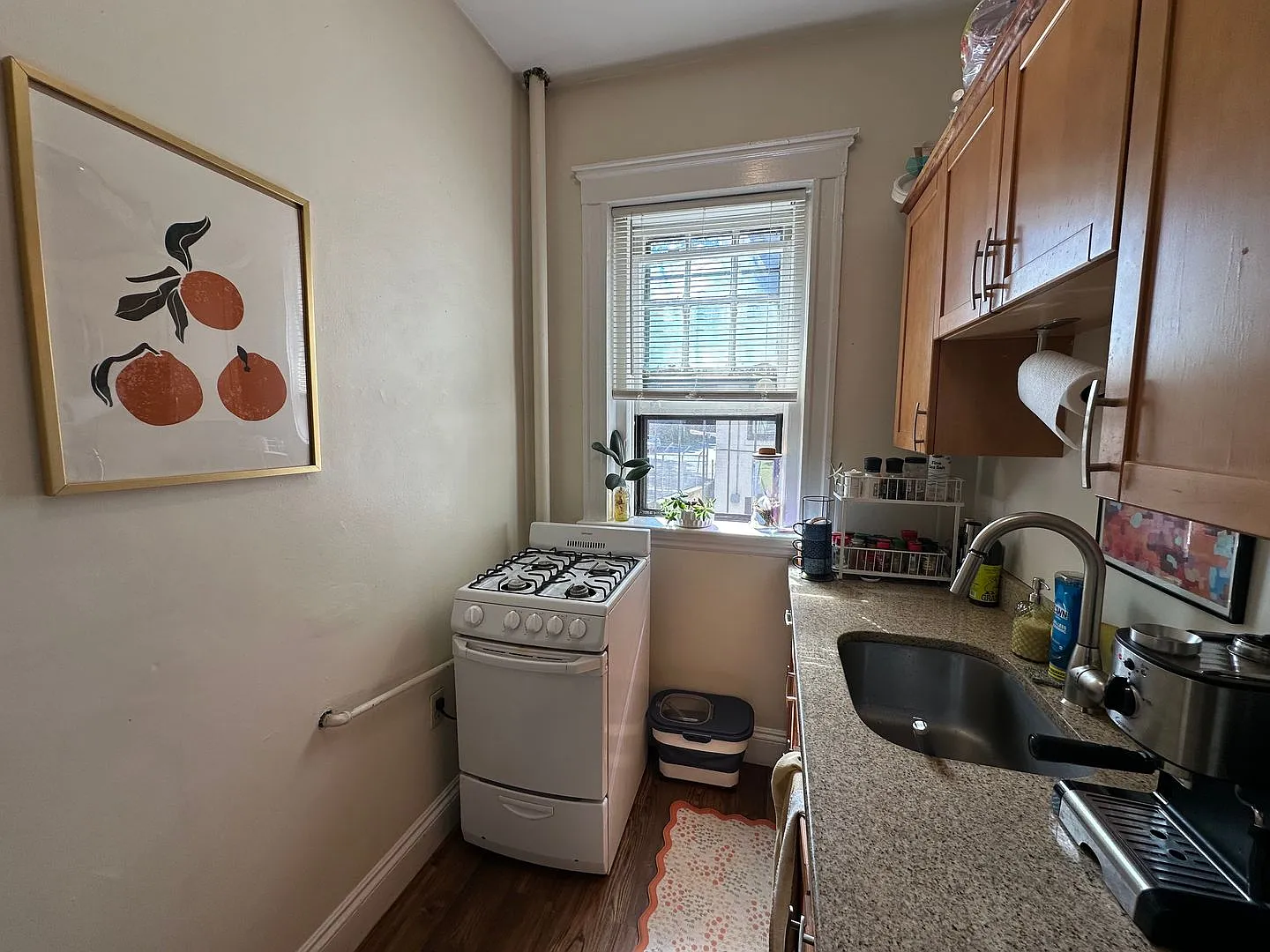 309 Allston Street (BI) — Photo 2