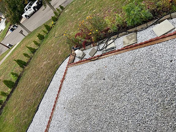 Front patio and privacy tree