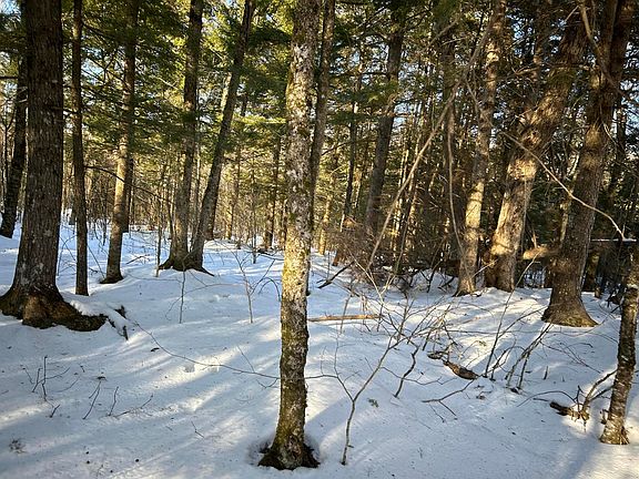 5th image of M7L31 Nelson Ridge Road N