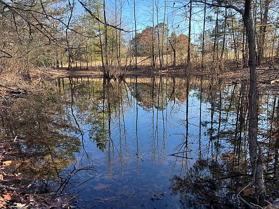3rd image of County Road 62
