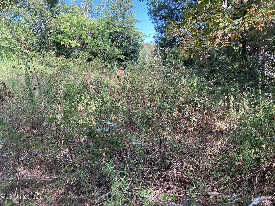 2nd image of 5558 Lower Bay Rd
