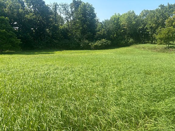 5th image of 1866 Tanglewood Dr