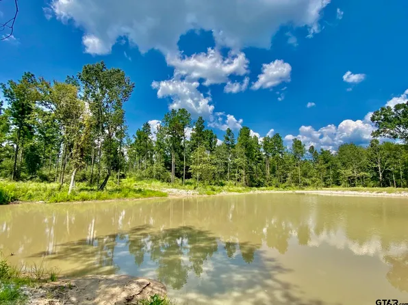 9205 County Road 4020, Lovelady, TX 75851