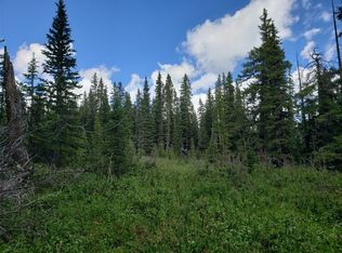 586 El Lobo Ln, Fairplay, CO 80440