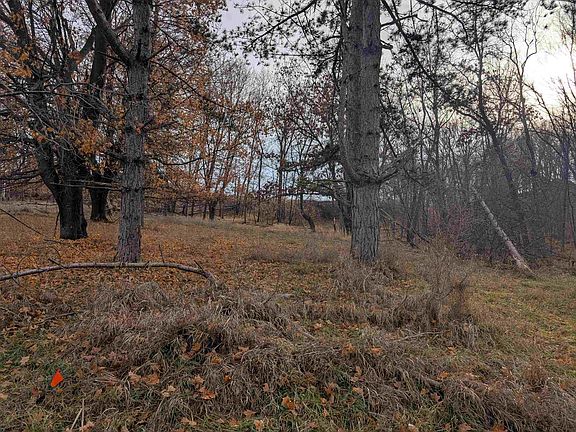 5th image of L221 Black Forest Dr
