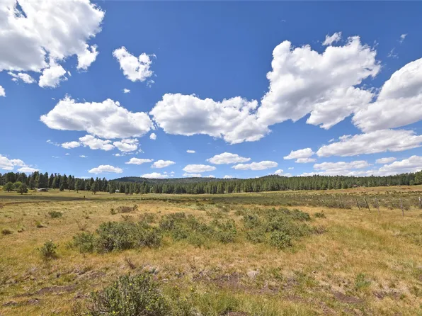 TRACT 4 & A Wetherill Cabin Sites, Coyote, NM 87012
