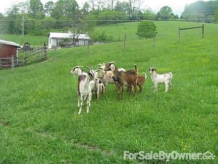 Middle field behind barn